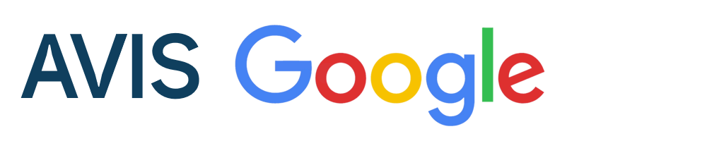Avis Google - Auto-école French Permis